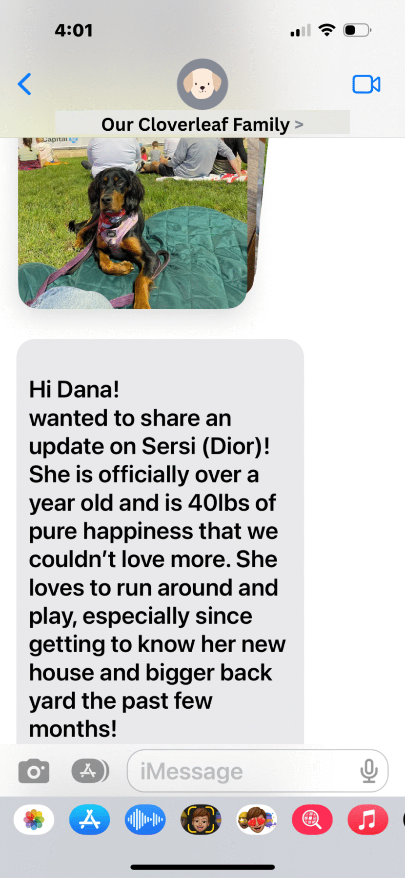 Sersi Homed Puppy Updates_Cloverleaf K9