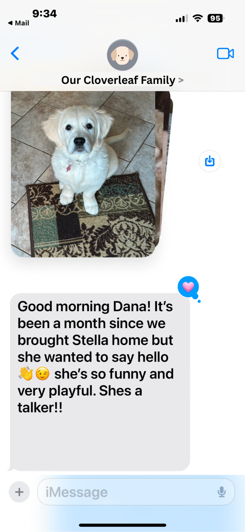 Stella Homed Puppy Updates_Cloverleaf K9